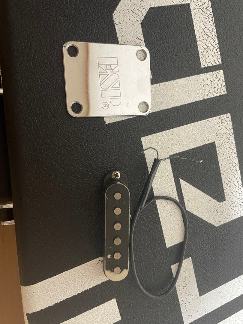 ESP SUFFER/9mm Parabellum Bullet滝善充モデル