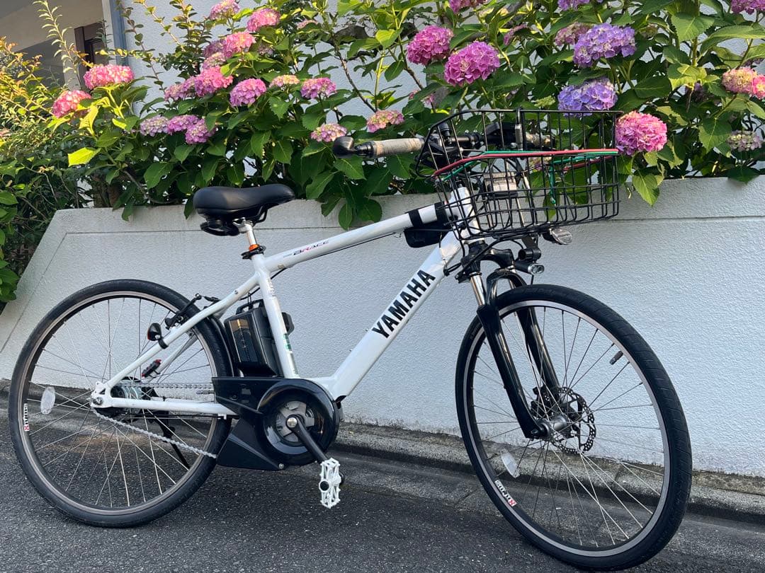 ヤマハ　ブレース　PAS クリスタルホワイト