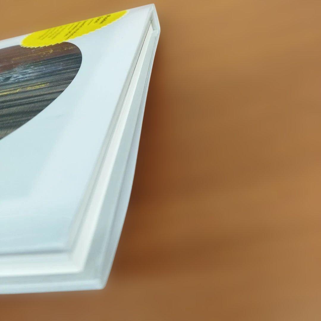 FRANCIS BACON 　2013年 145P HC