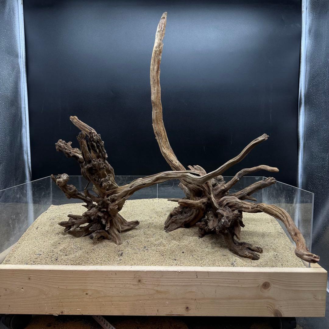 MSRW-7171 天然流木2本セット　スリムウッド　アクアリウム