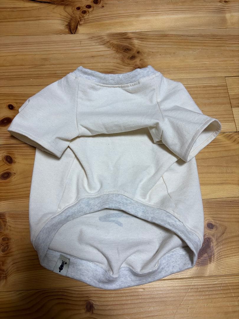 ADVENTURE IS OUT THERE! ×CHEERBEE(R)