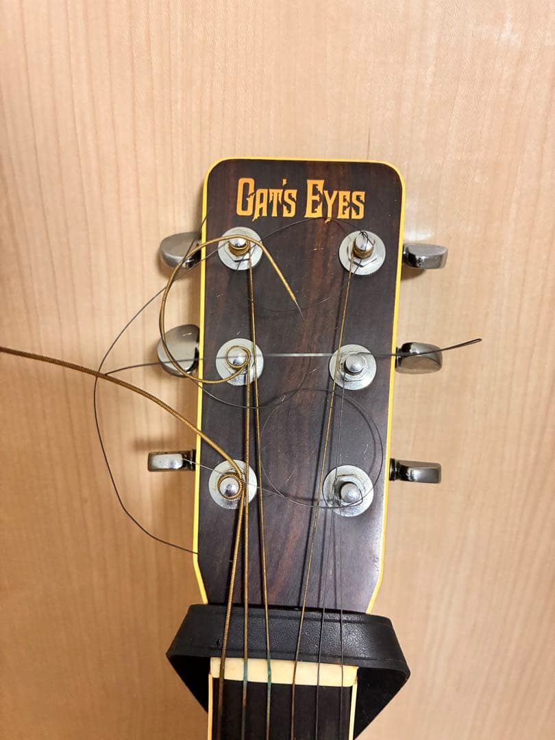 ギター Cat's Eyes CE-600