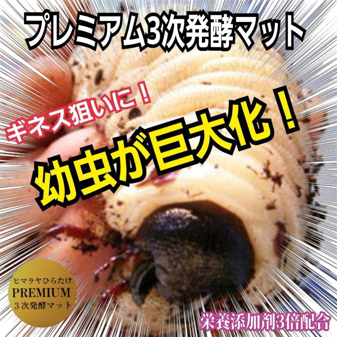 ヘラクレスが巨大化！プレミアム3次発酵カブトムシマット　60リットル　産卵にも！