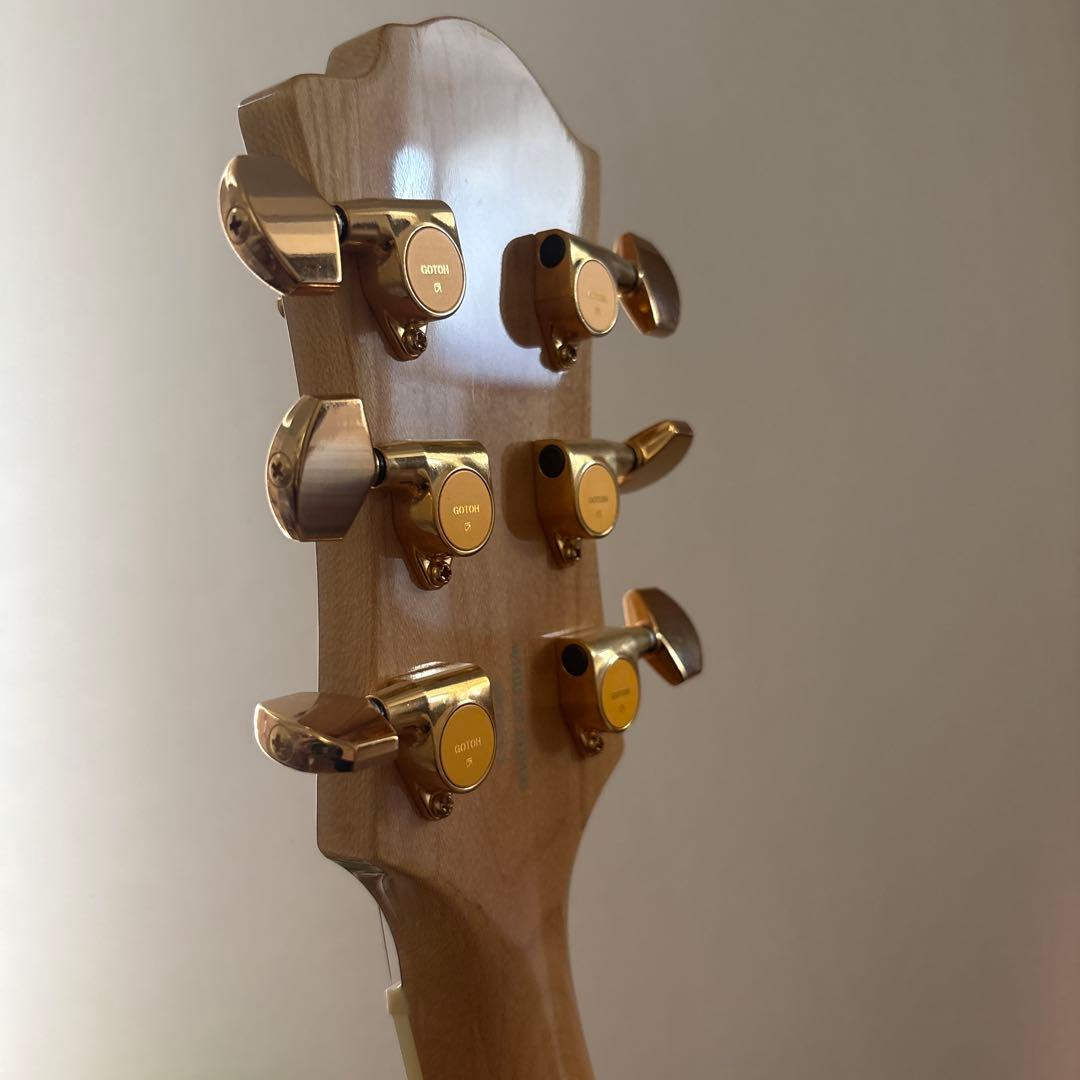 岡山市内引き渡し フェルナンデスギターhideモデルMG-70X モッキンバード