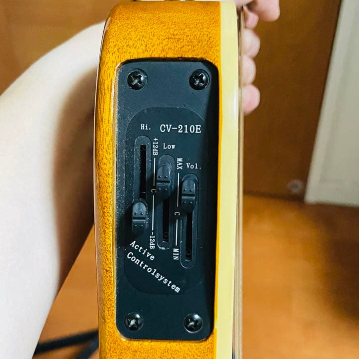 シェクター、Schecter　オリエンタルラインOL-FL/WHT　エレアコ