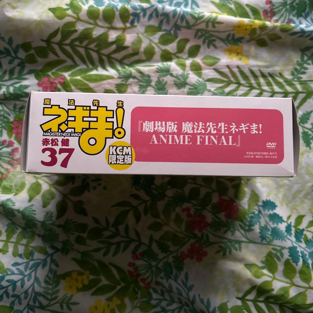【旧版・絶版・特典未開封品】DVD付き初回限定版 魔法先生ネギま! 37