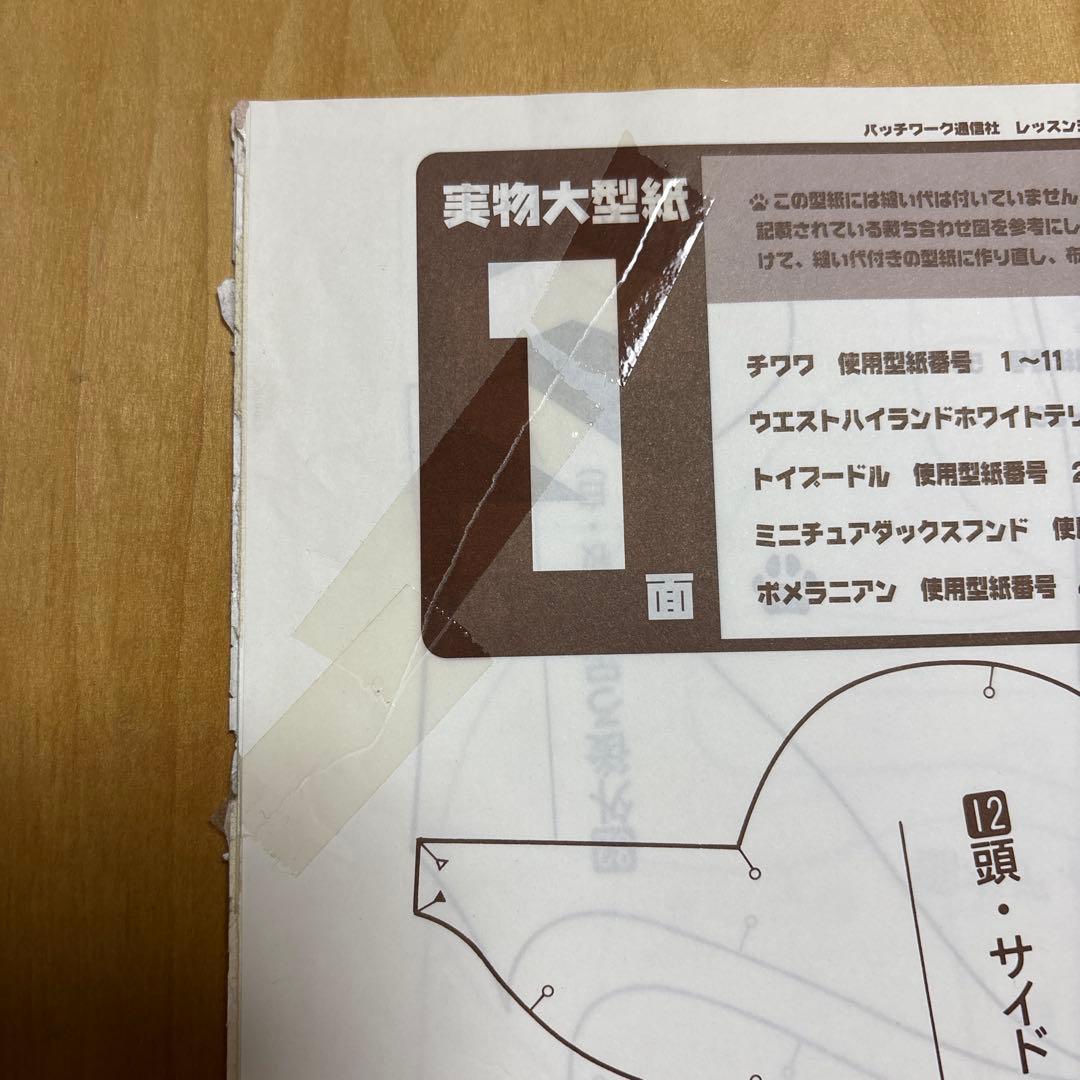 私の愛する犬たち