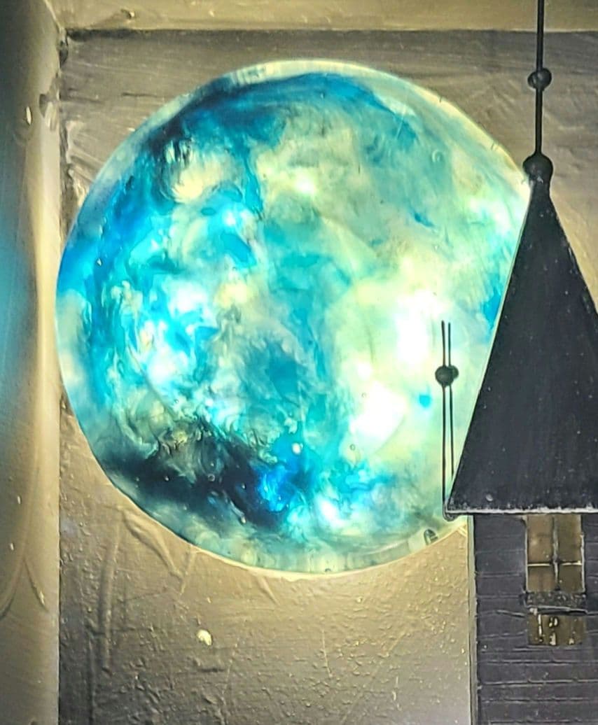 オリジナル標本箱+シャムオオキバノコギリカミキリ