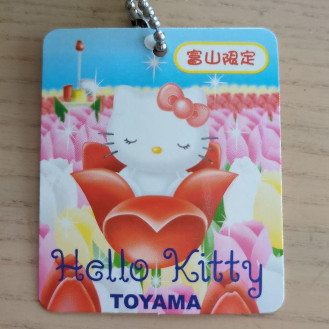 富山限定 ご当地キティハローキティ チューリップ公園 チューリップ ぬいぐるみ