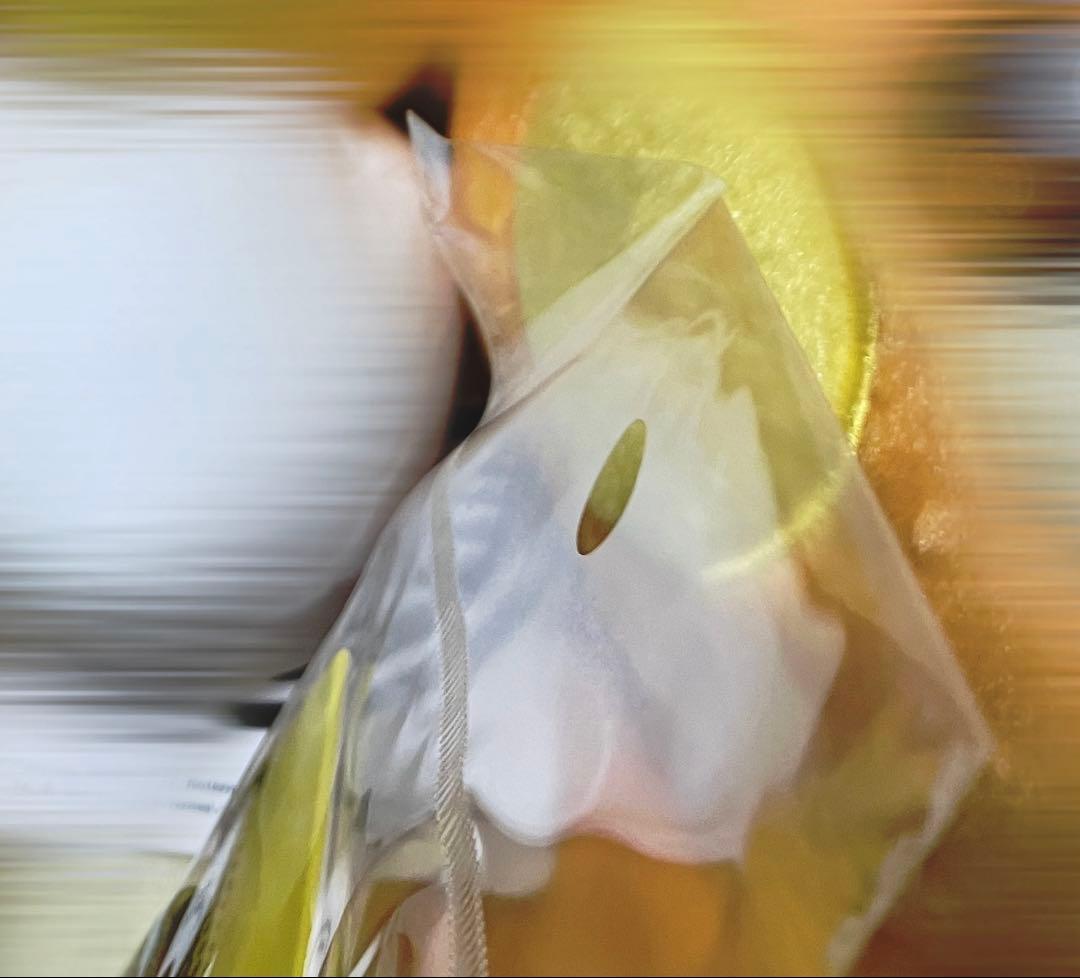 ポケモン ピカピカボックス 2026