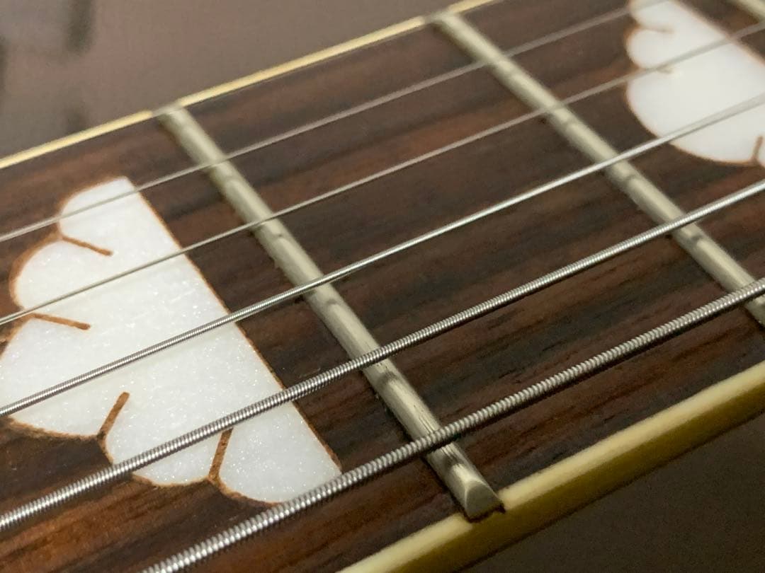 フォトジェニック Photo Genic モッキンバード エレキギター hide