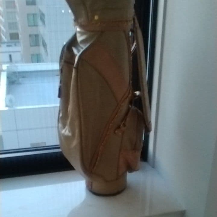 バレンザポーのゴルフキャディバッグ