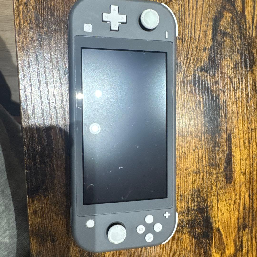 Switchライトグレージャンク品