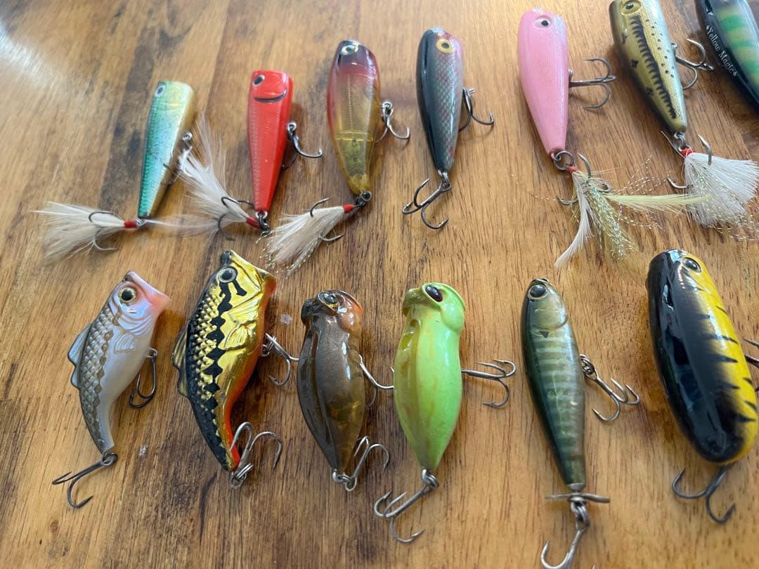 メガバス等　ルアー27点セット　ドッグX パロット入り