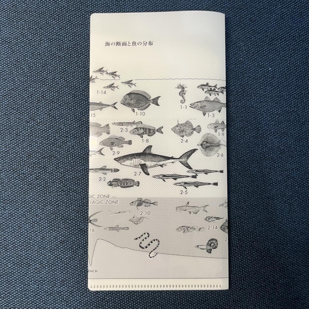 サカナクション 魚図鑑 完全生産限定BOX 外箱開封済 中身シュリンク未開封