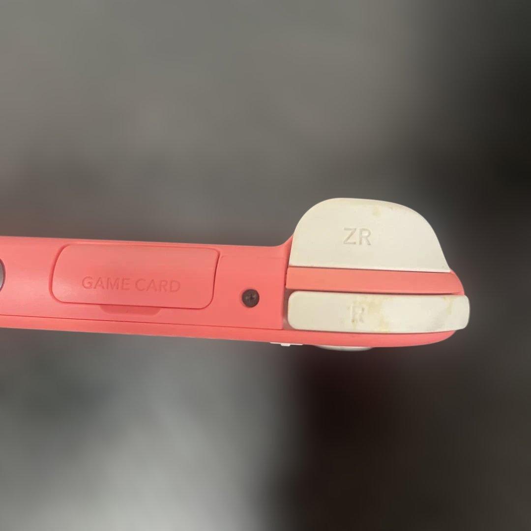 Switch ライト 箱無し