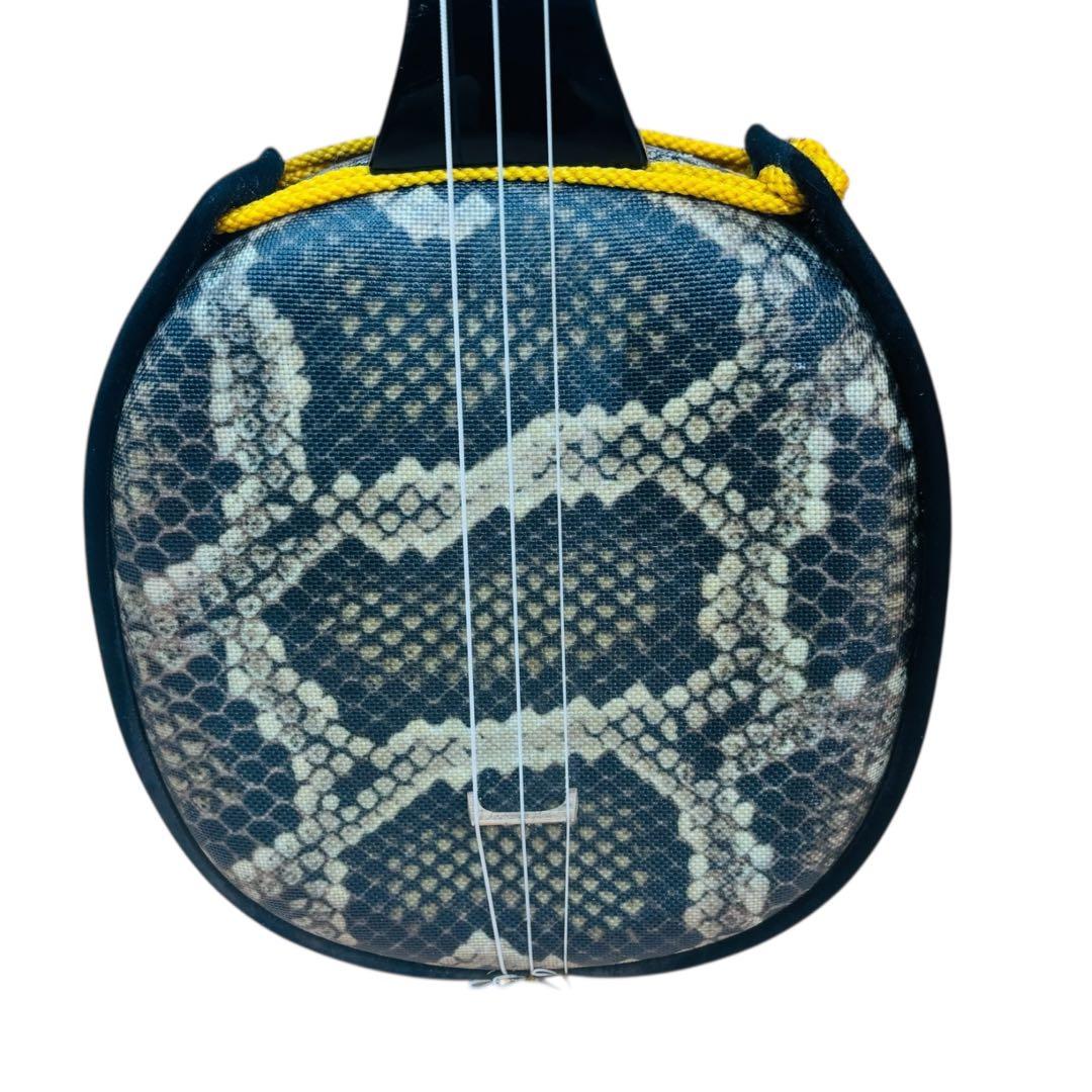 沖縄　伝統楽器　三線