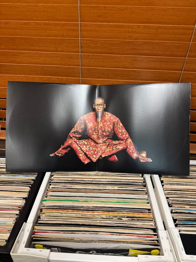 洋楽 RAPHAEL SAADIQ INSTANT VINTAGE