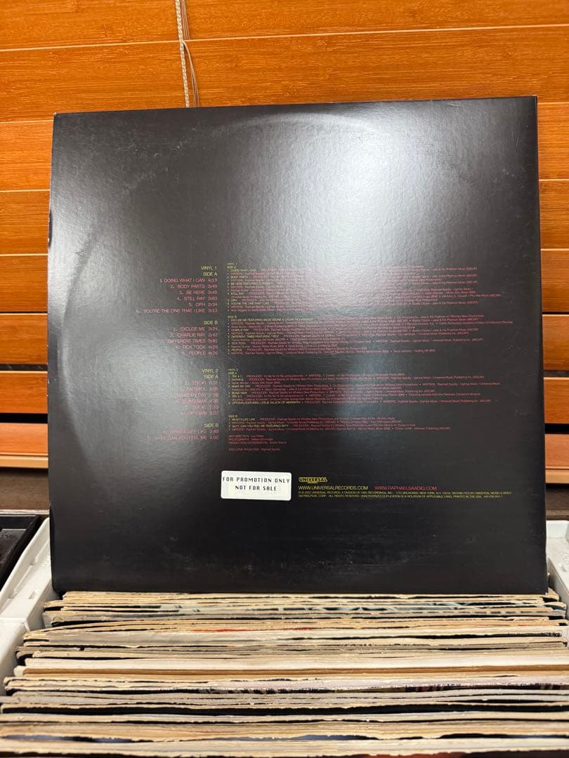 洋楽 RAPHAEL SAADIQ INSTANT VINTAGE