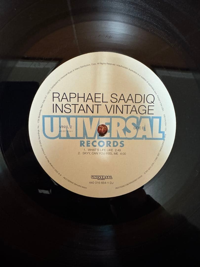 洋楽 RAPHAEL SAADIQ INSTANT VINTAGE
