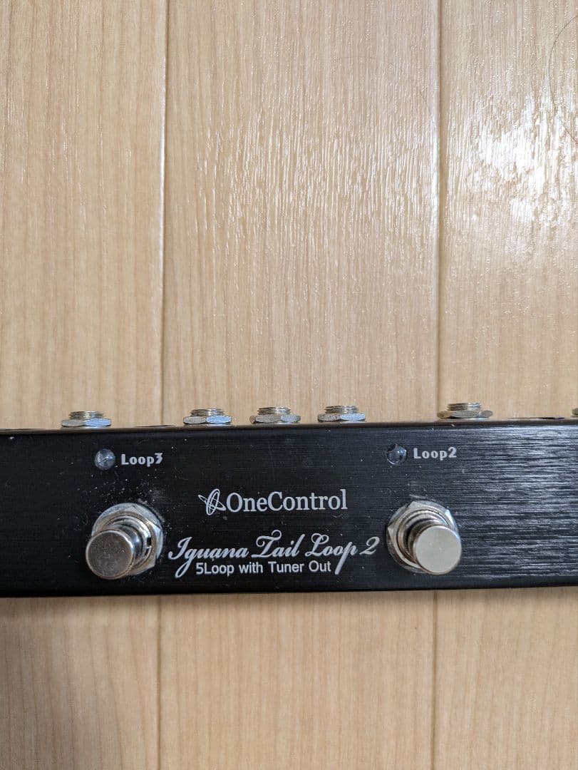ギター OneControl Iguana Tail Loop 2