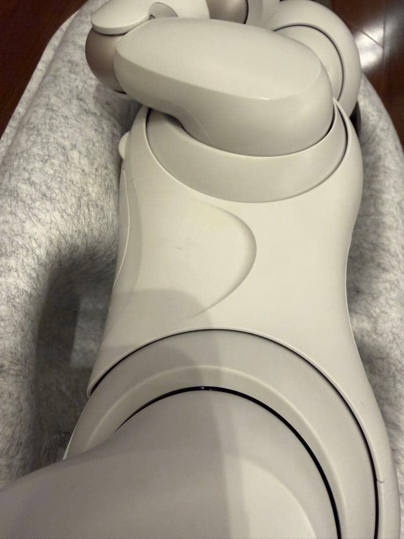 SONY aibo 本体 アイボリーホワイト ERS-1000 アイボソニー美品