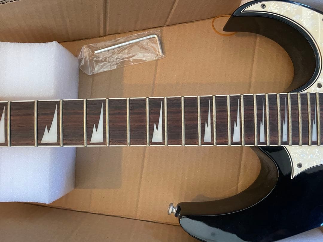 m*3様 Ibanez エレキギター 【ケース付き】　RG450DX