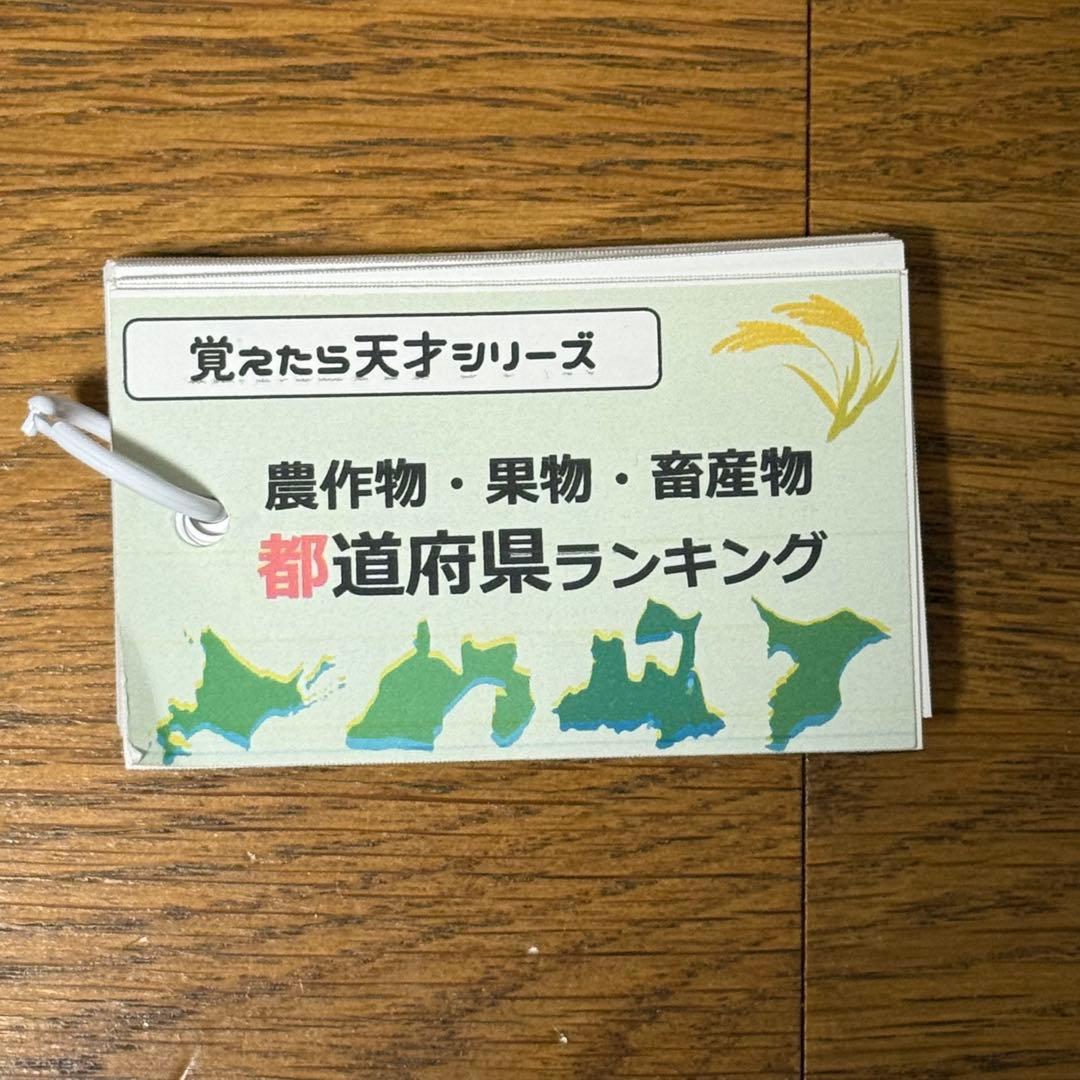 中学受験対策　社会の地理、歴史、公民　基礎暗記カードセット　中学入試　テスト対策