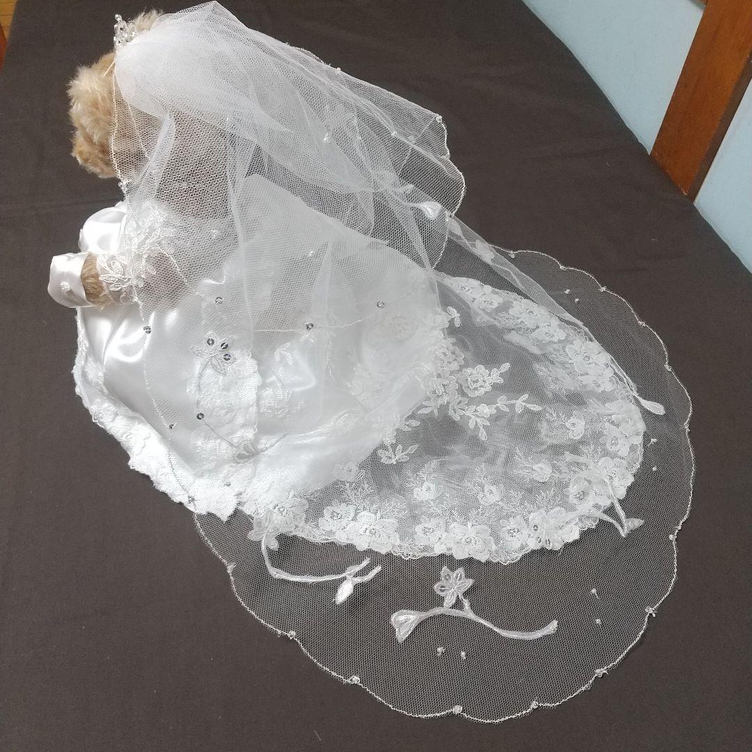 パディちゃんウェディングコスチューム