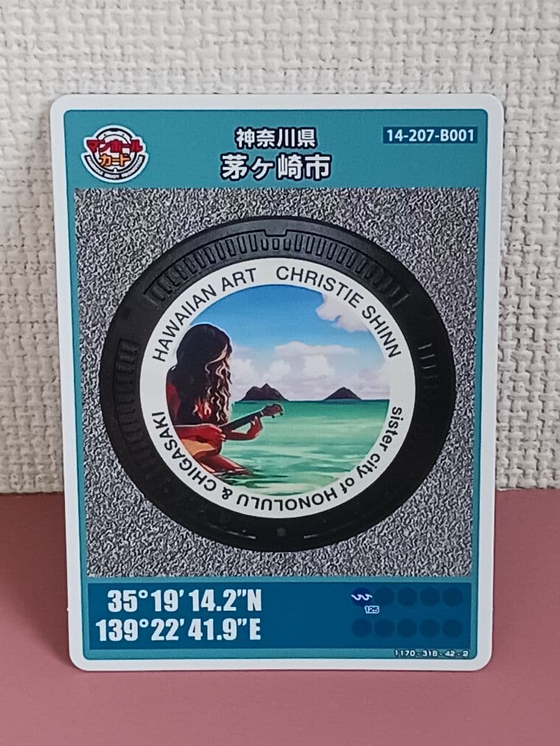 13点セット★道の駅湘南ちがさき記念きっぷ8種★マンホールカード2種★ピンズ他