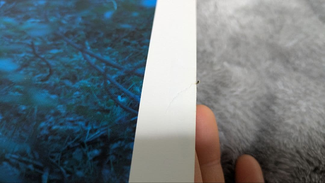 【希少】Aimer　直筆サイン　ポスター