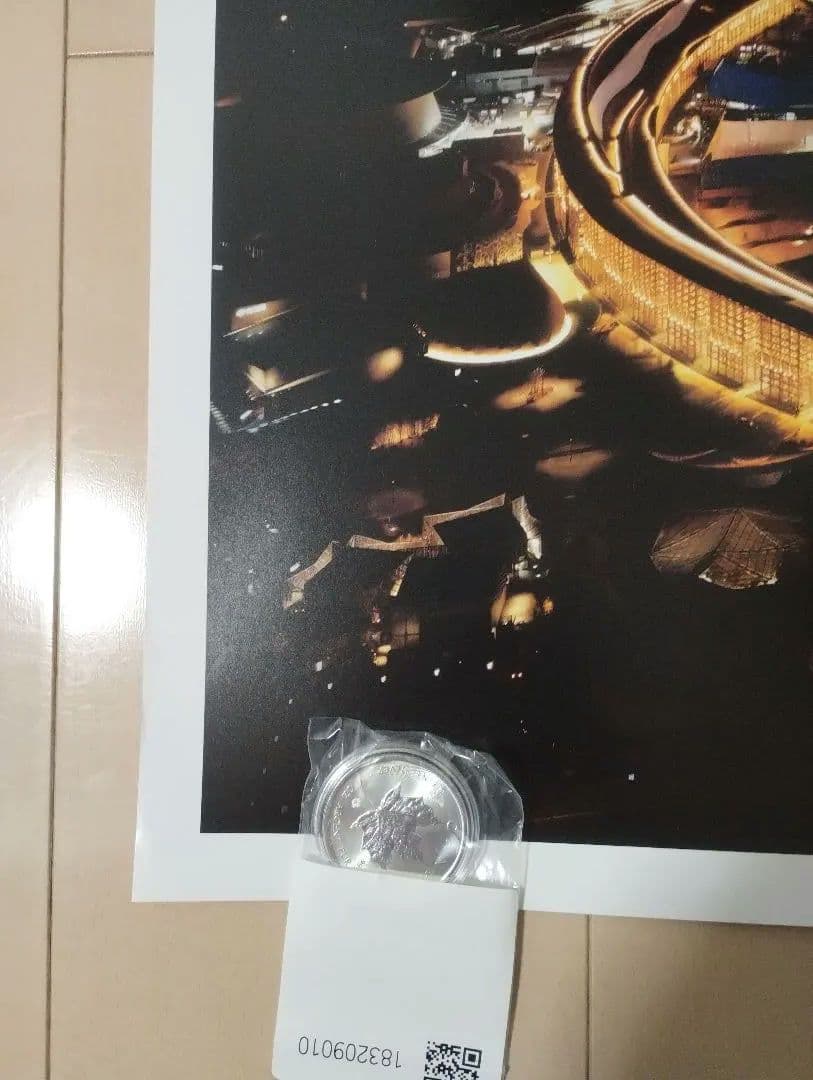 V*a様 大阪 関西万博 大屋根リング 夜景ポスター B1大判サイズ EXPO2