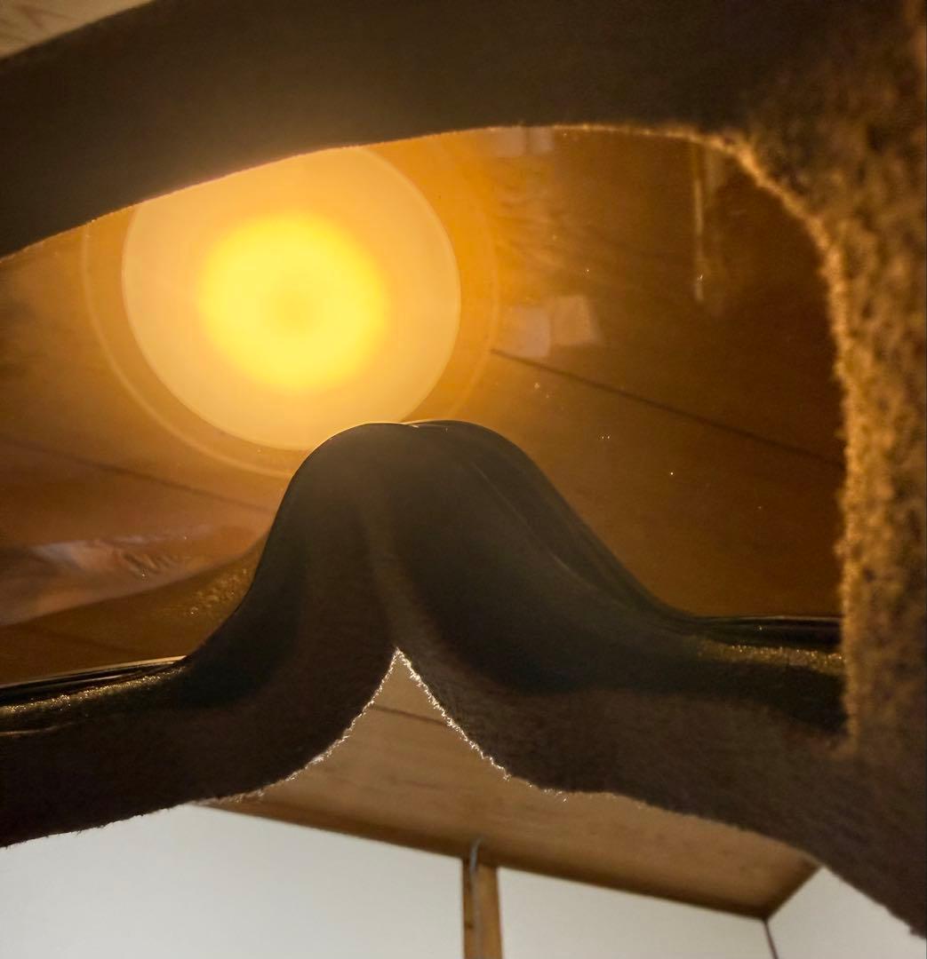 ドラゴン　　ゴーグル　pxv2