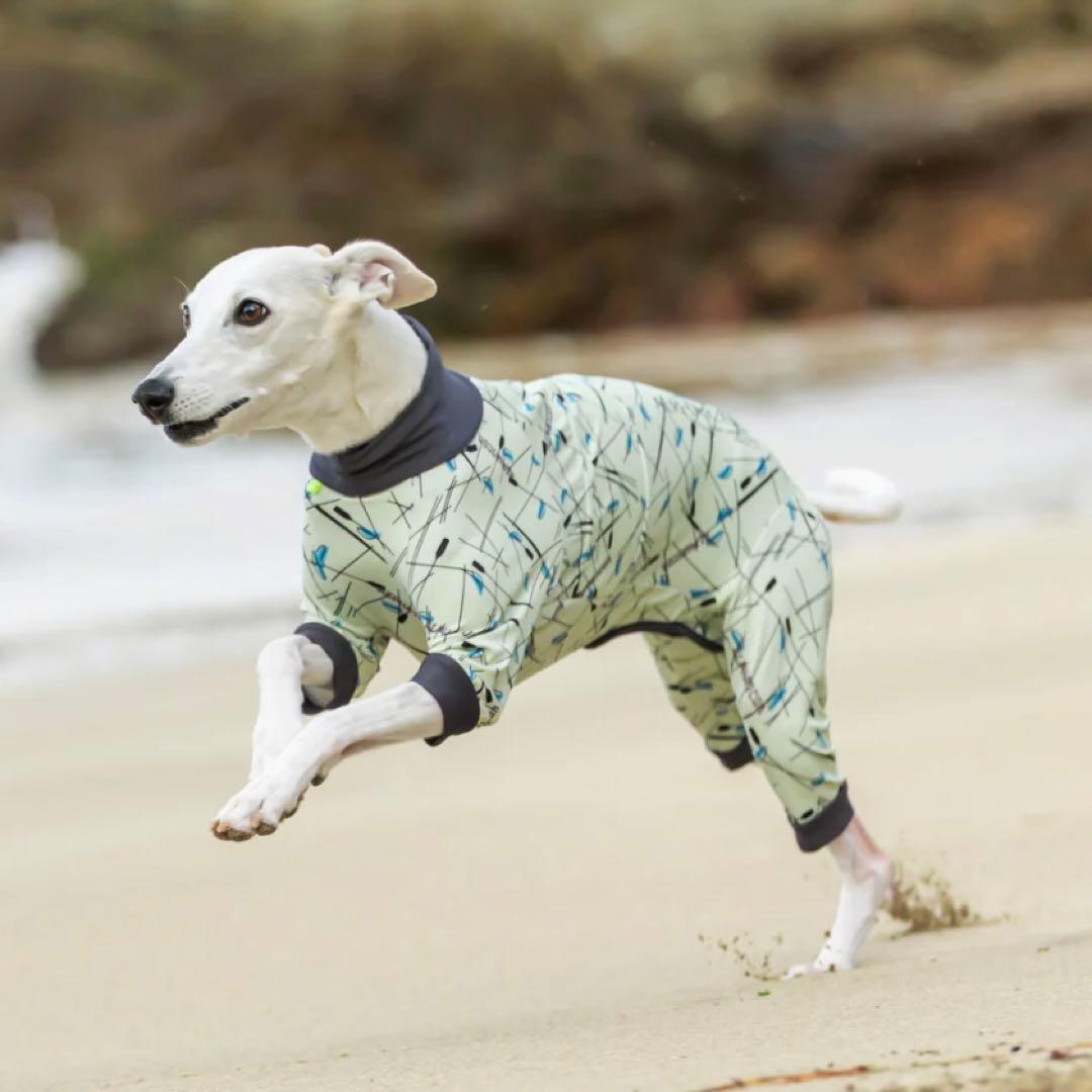 FULL DOG GUARD フルドッグガード LIME GLOW