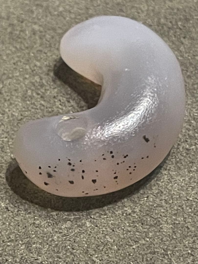 古墳時代　瑪瑙製勾玉