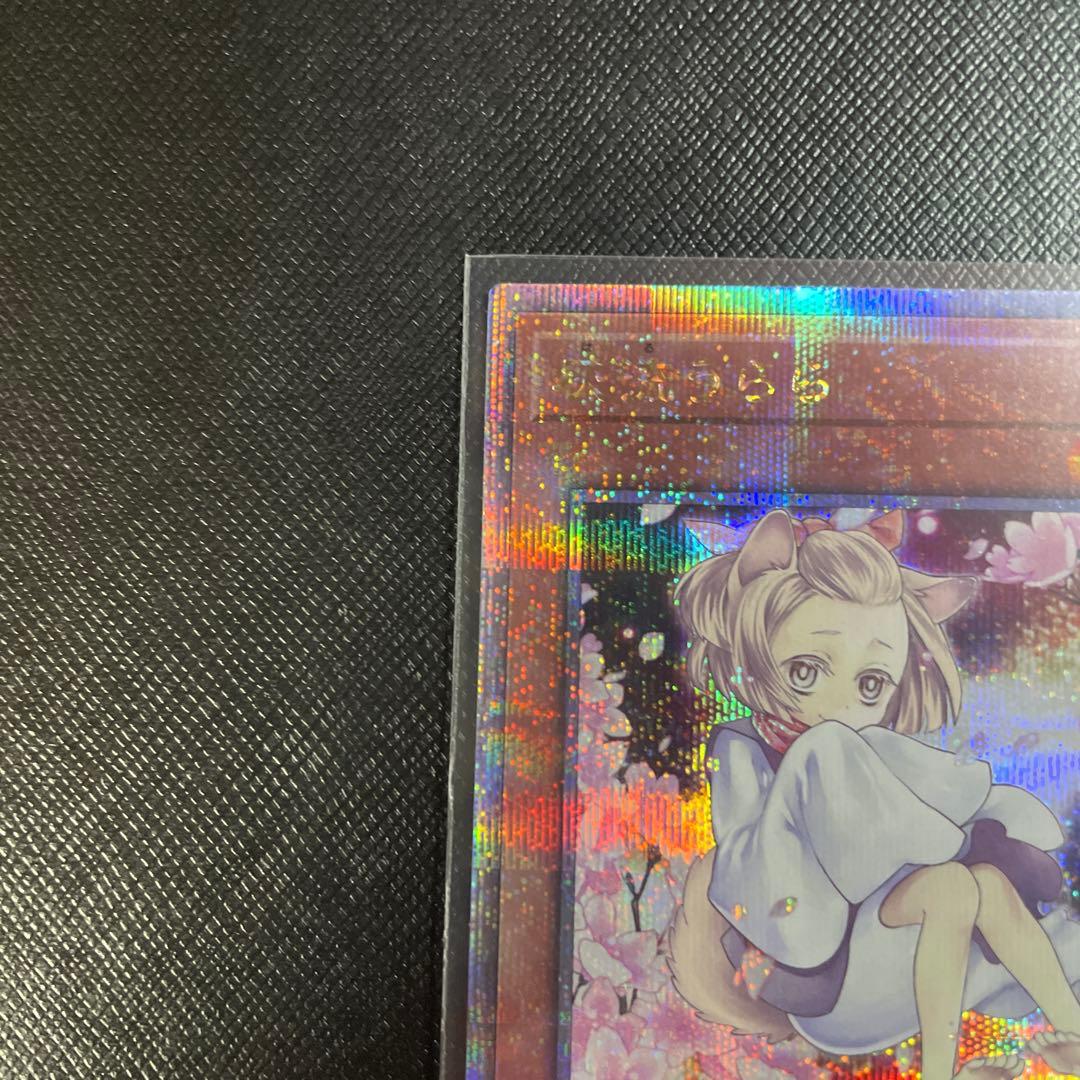 遊戯王　灰流うらら 25th クオシク 絵違い