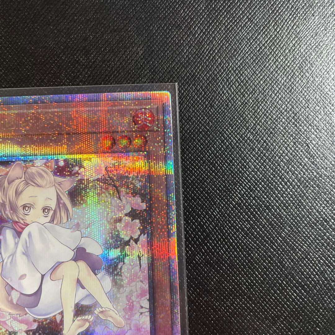 遊戯王　灰流うらら 25th クオシク 絵違い