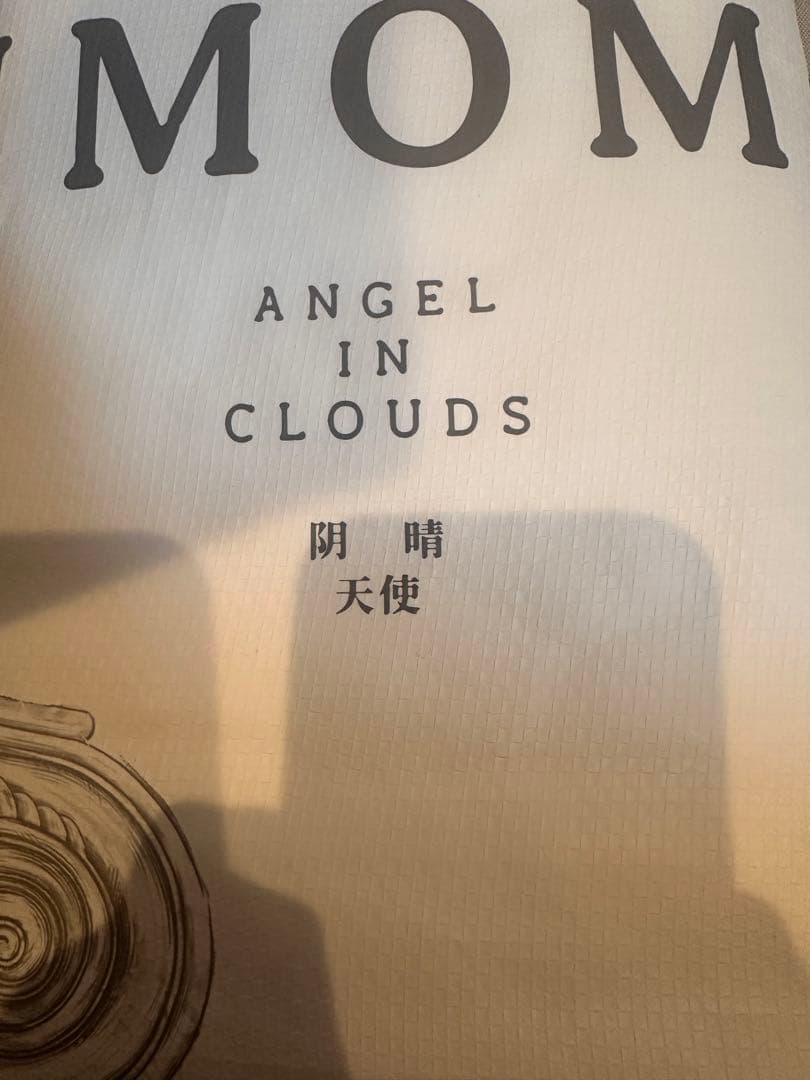 ANGEL IN CLOUDS LABUBU ぬいぐるみ　新品未開封　即購入可