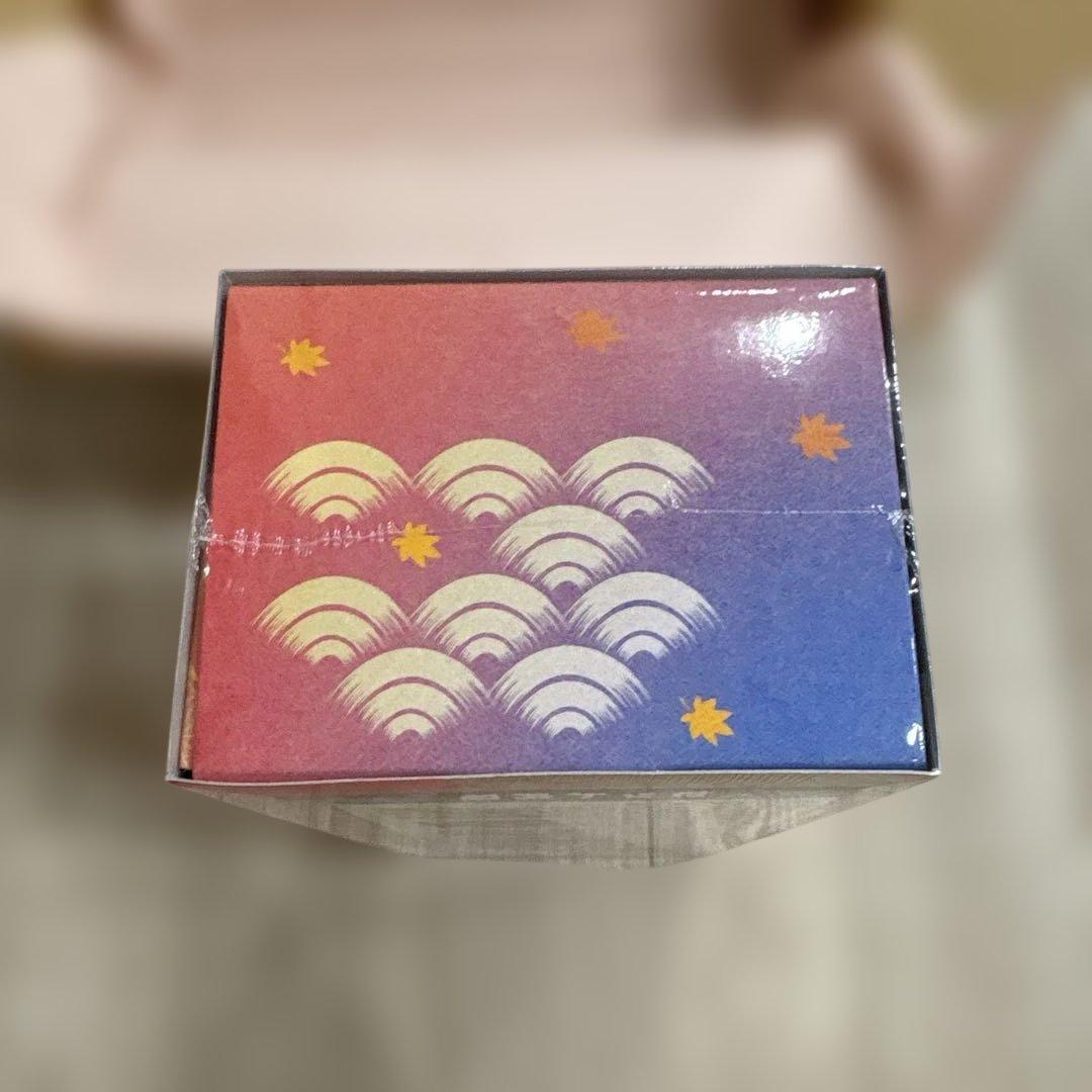 【新品未開封シュリンク付き】スペシャルBOX ポケモンセンター ヒロシマ