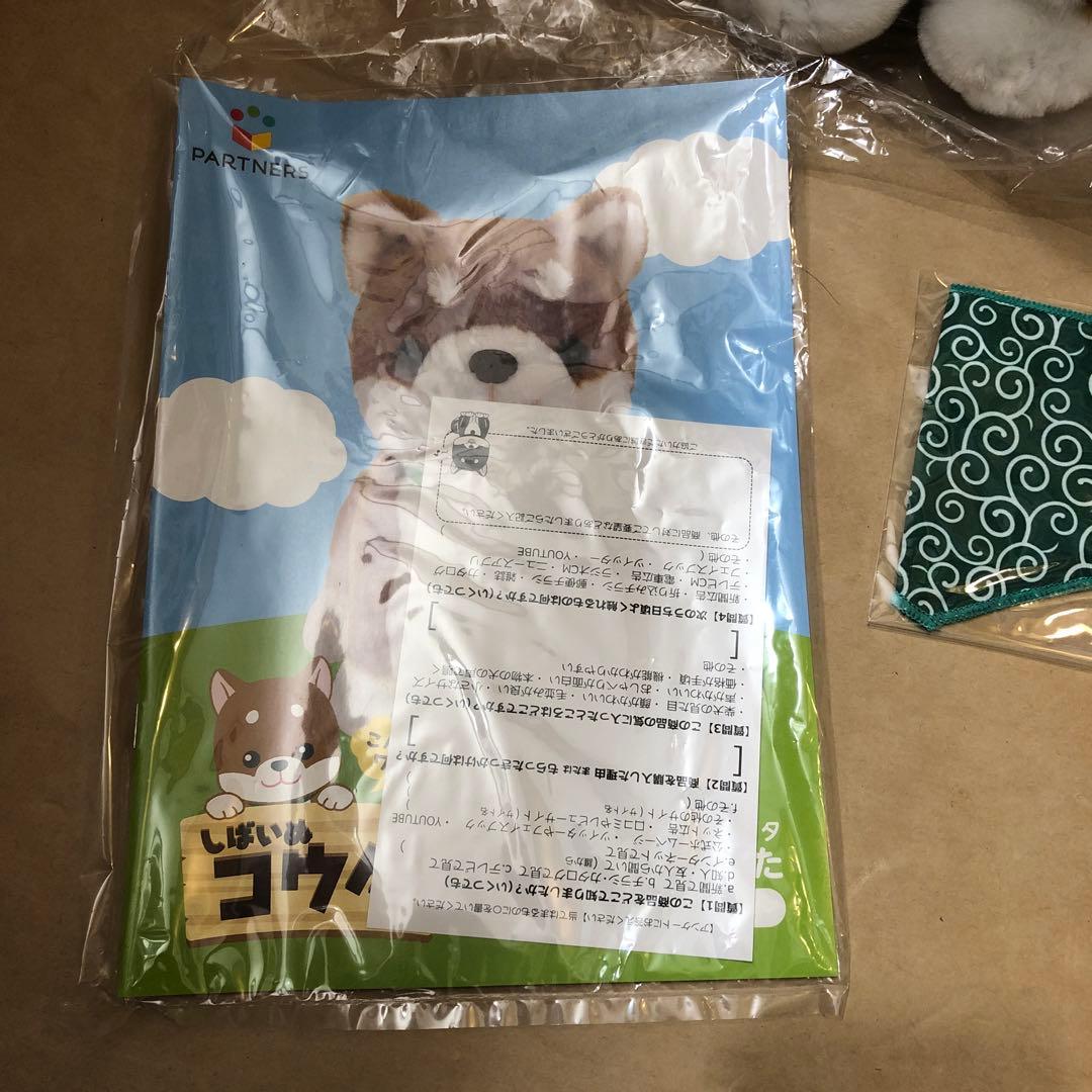 未使用　こんにちワン！しばいぬコウタ　バンダナつきセット