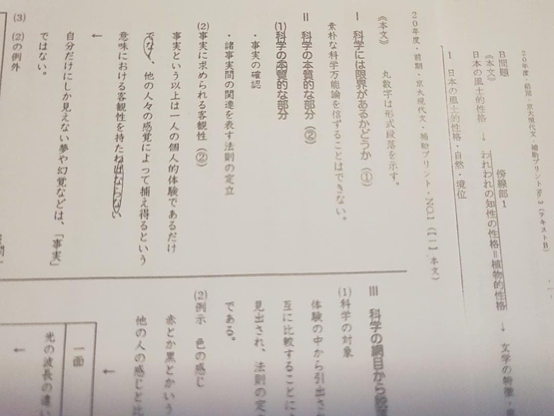 偶数年対応　駿台　松本孝子先生による京大現代文通年板書プリント集　河合塾　鉄緑会