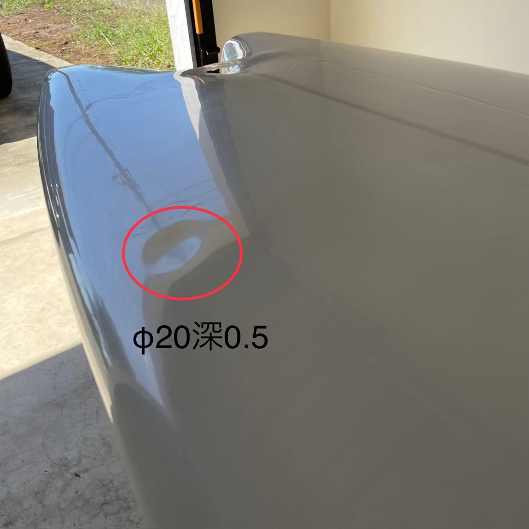 STEVE BROM スティーブ ブロム ツイン フィッシュ