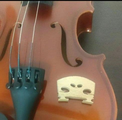 Suzuki バイオリン サイズNo.230 1/4 Anno 2011