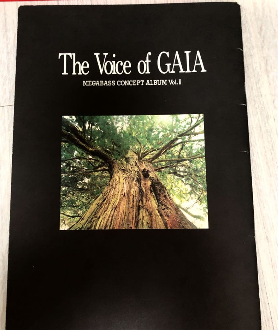 入手困難‼️希少‼️ メガバス 最初期 コンセプトアルバムセット 美品 カタログ