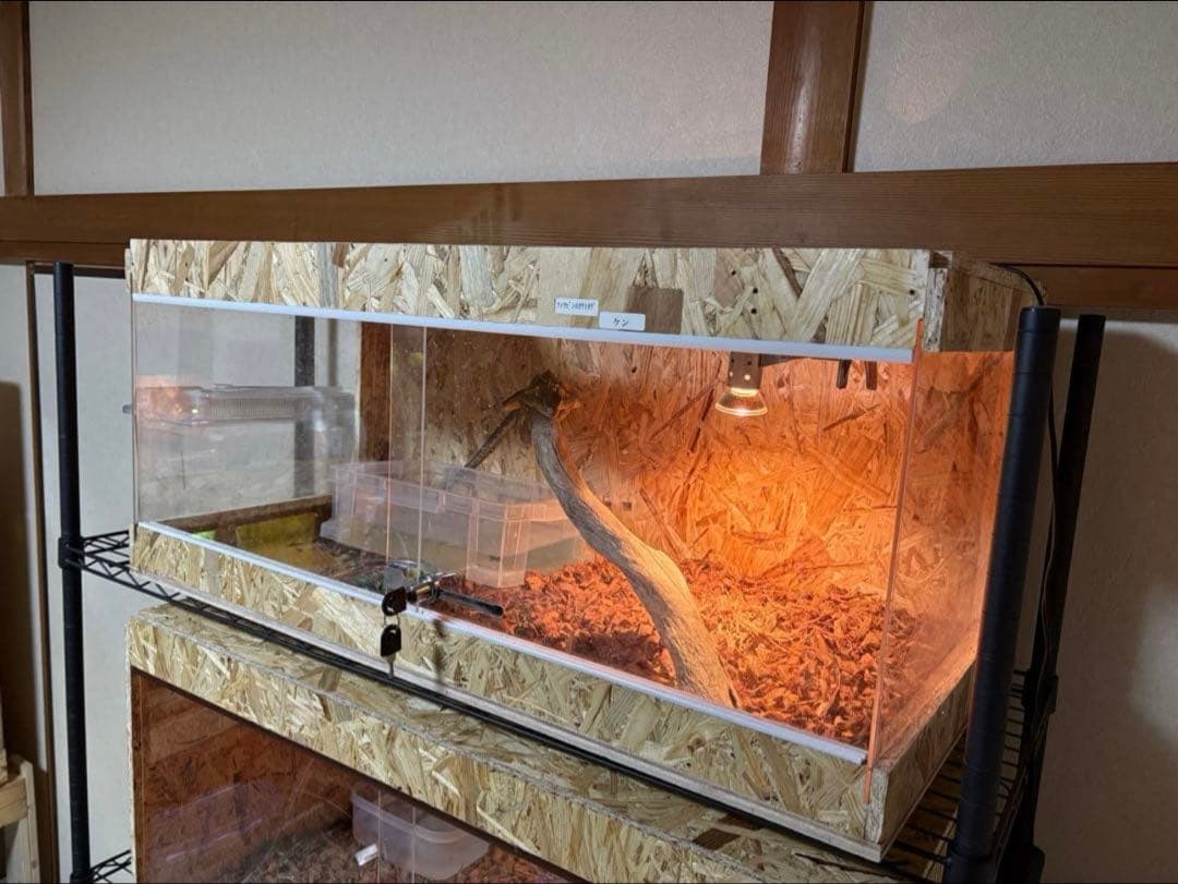 爬虫類ケージ　90x40x40 サイドアクリル　爬虫類　ペット　飼育ケージ