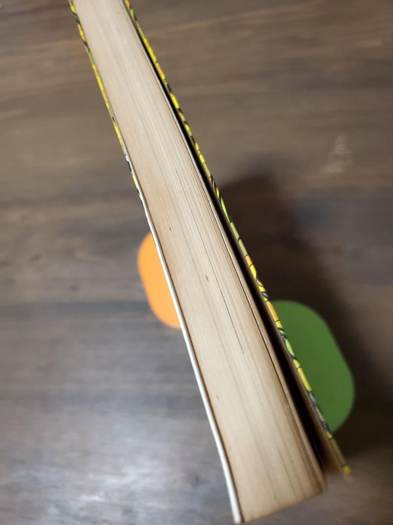 直野祥子集☆ブロンズ社