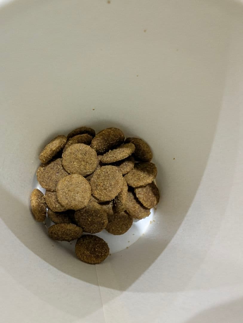 ブリーダーパックファーストチョイス 18kg ドッグフード