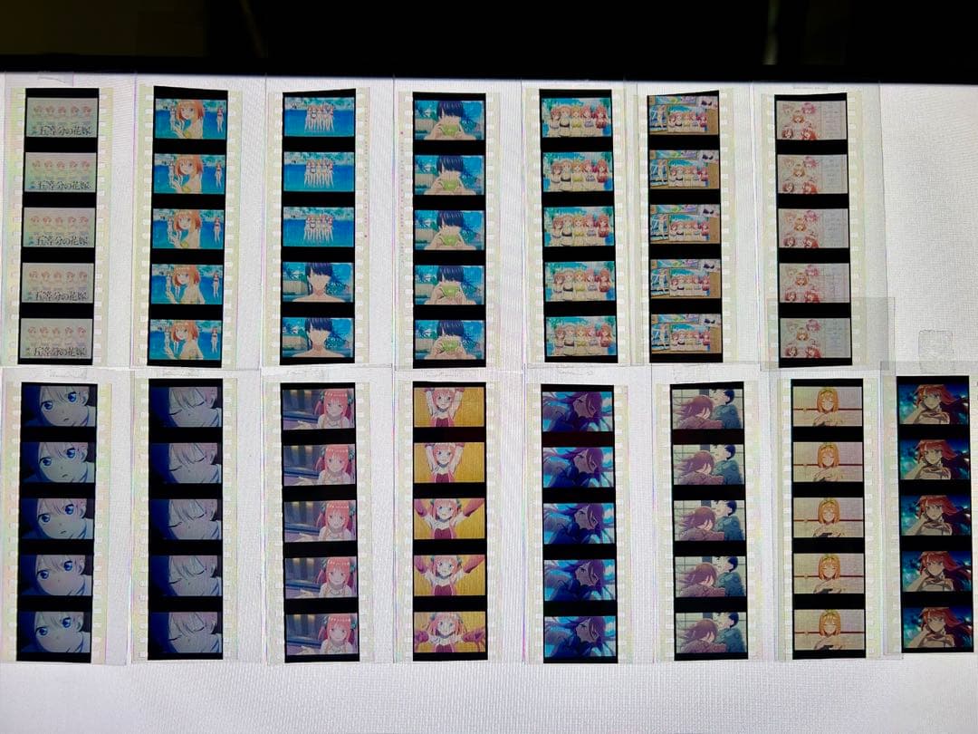 五等分の花嫁　映画特典　フィルムセル コレクション