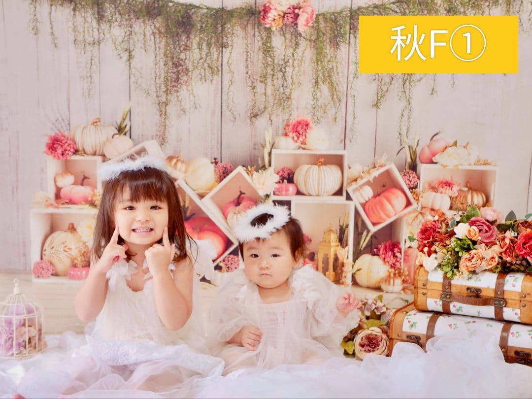 業務用フェルトトリミングチョーカー+背景布　ハロウィン　クリスマス　撮影用ブース