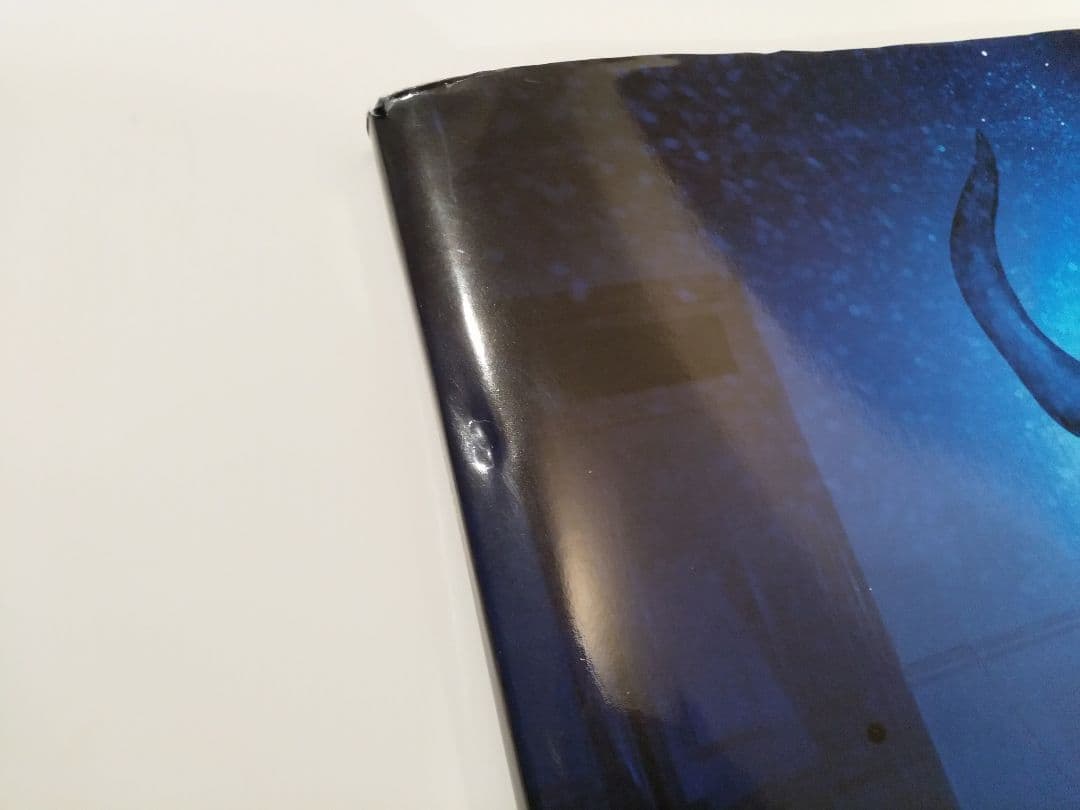 CANARY(カナリア) 　志賀 理江子　写真集